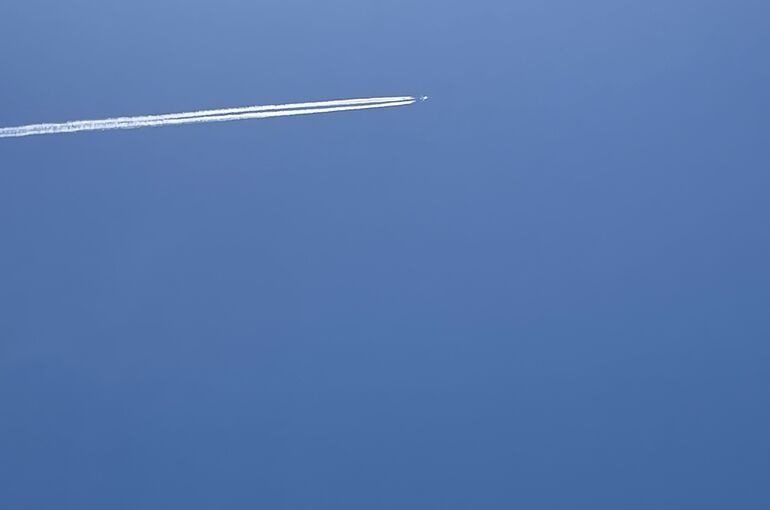 IMG_0502