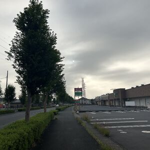 IMG_3733