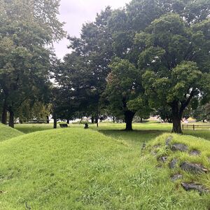 IMG_3775