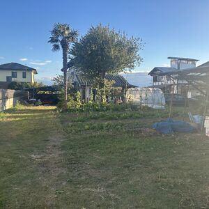 IMG_3988